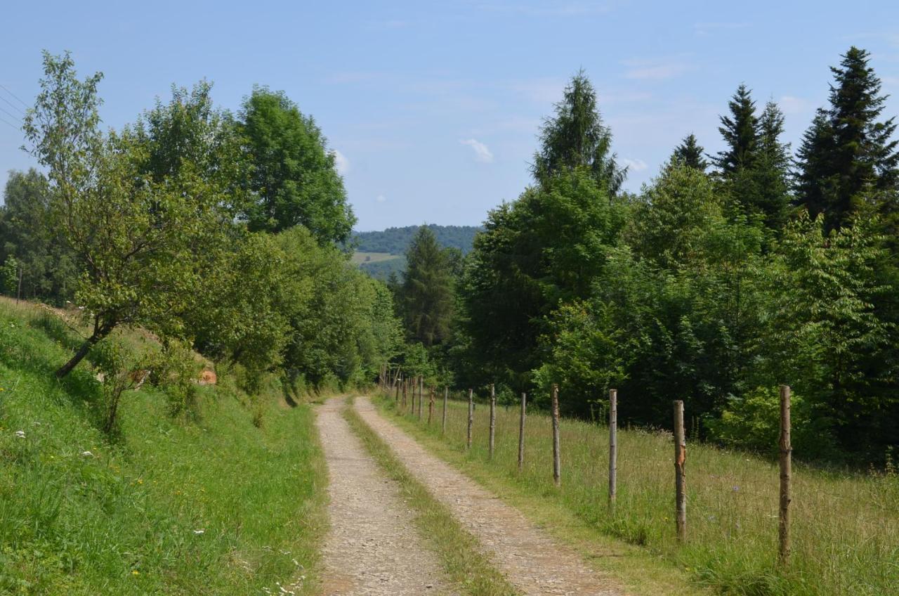 Domek Zacisze Gor Slonnych Tyrawa Woloska Exterior photo